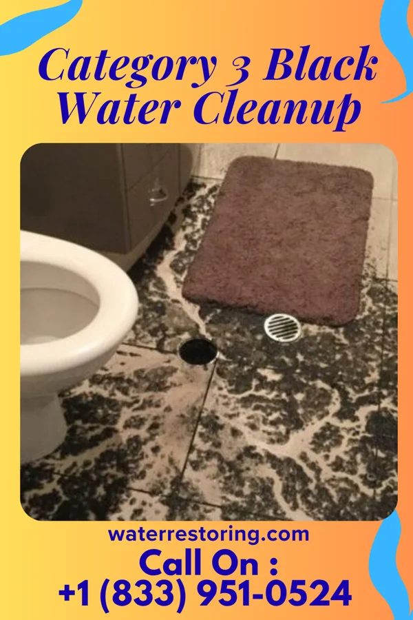 Category 3 Black Water Cleanup in Elkhart, KS