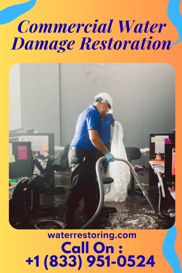 Commercial Water Damage Restoration in Elkhart, KS