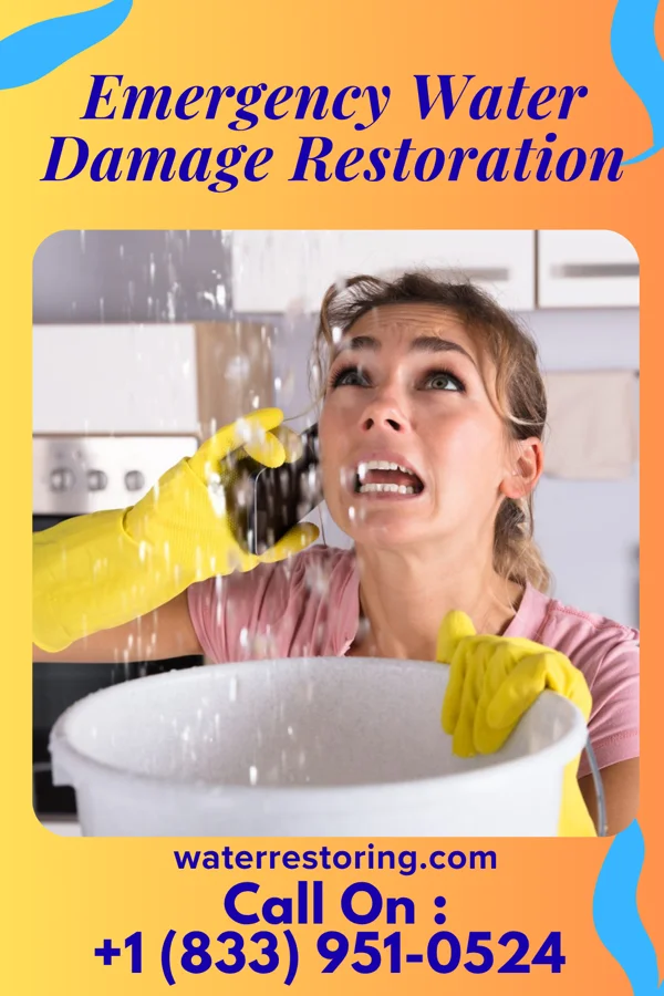 Emergency Water Damage Restoration in Elkhart, KS